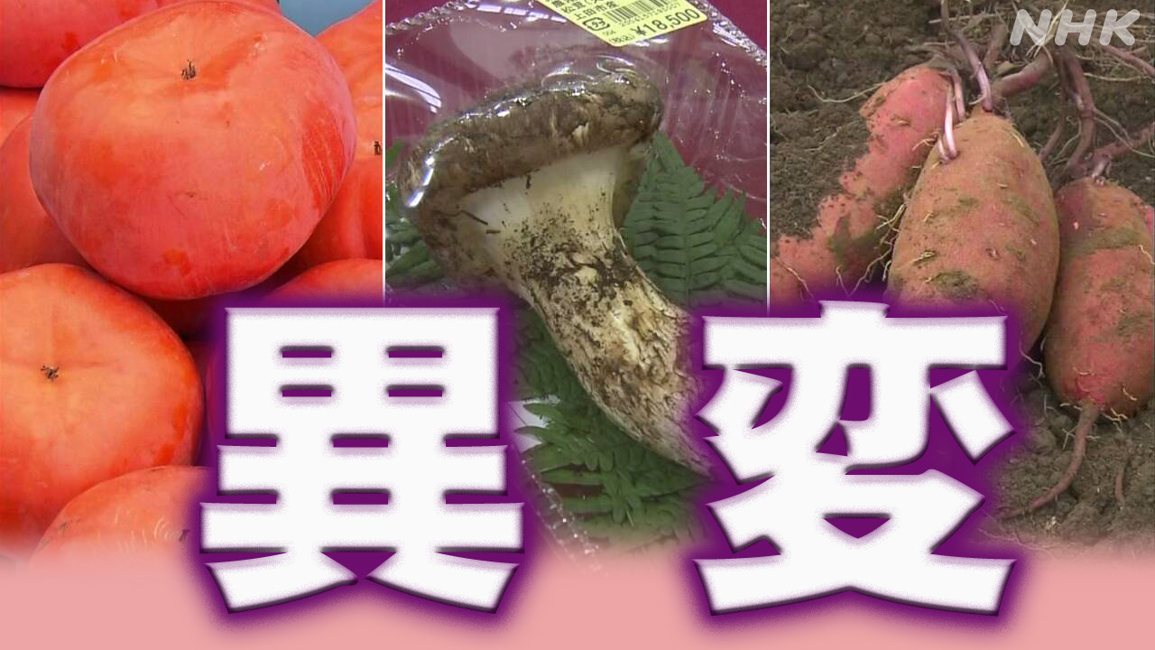 野菜や果物暑さが原因でよく育っていない